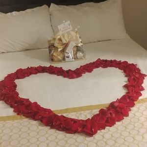 Meet your Posher, Ellen